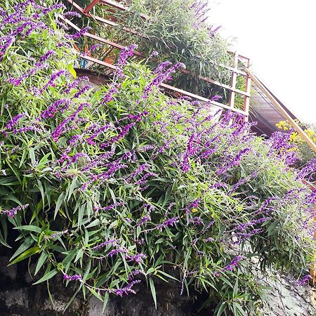 Sapa Tatu Homestay Exterior foto